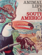 ANIMAL LIFE IN SOUTH AMERICA